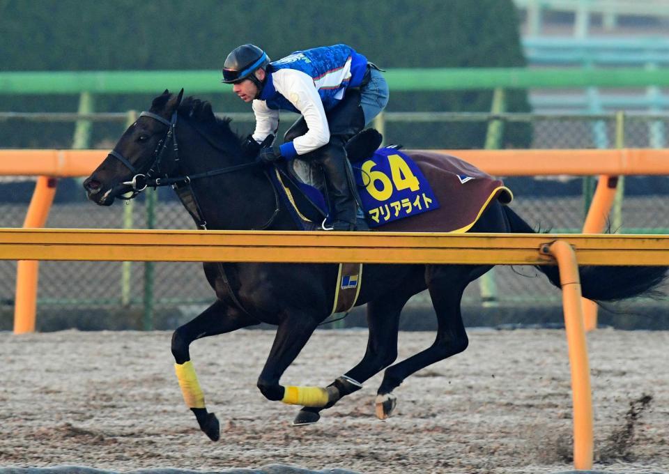 　美浦Ｗで素軽い動きを見せたマリアライト