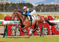 新馬戦を快勝したインウィスパーズ＝阪神競馬場