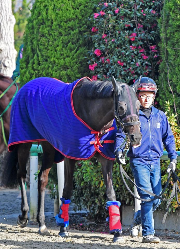 有馬記念】マリアライト有終Ｖへ好感触 ラストランへ「闘志秘めている