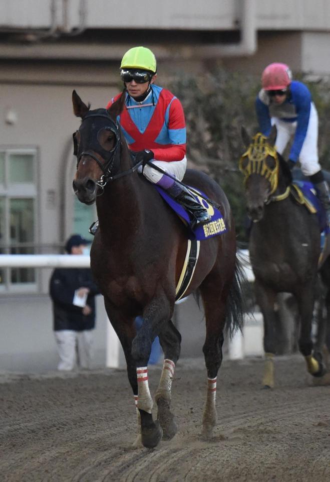 ２着に敗れたアウォーディー＝大井競馬場