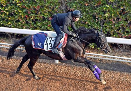 　Ｇ３で格の違いを見せたいフィエロ