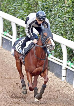 　さらなる飛躍の年へ、栗東坂路で追い切るエアスピネル（撮影・山口登）