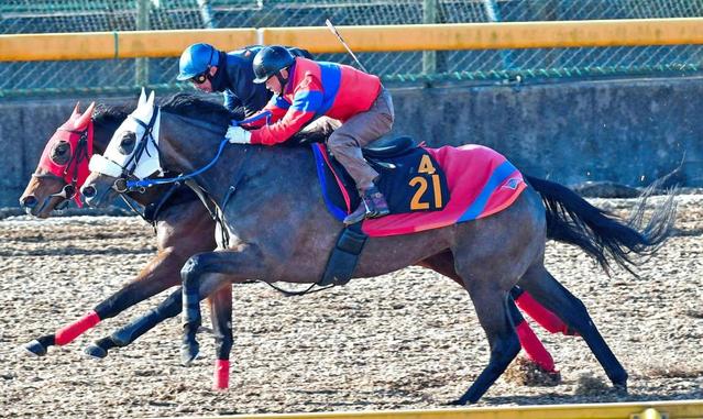 【フェアリーＳ】コーラルプリンセス陣営に余裕の表情　初の右回りも「問題ない」