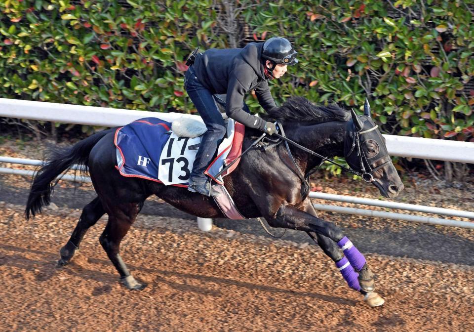 　Ｇ３で格の違いを見せたいフィエロ