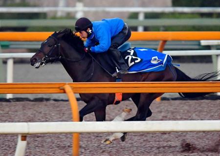 　栗東ＣＷで追い切るペルシアンナイト
