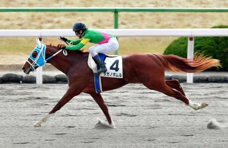 復帰初戦で見事に勝利した藤岡佑介＝京都競馬場（撮影・石湯恒介）