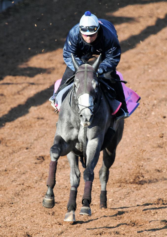 菊沢隆徳調教師を背に美浦坂で追い切ったアエロリット