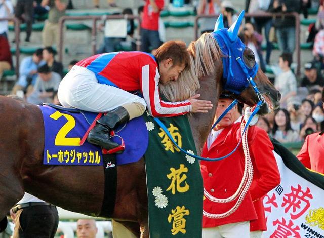 １４年菊花賞馬トーホウジャッカルが屈腱炎で引退