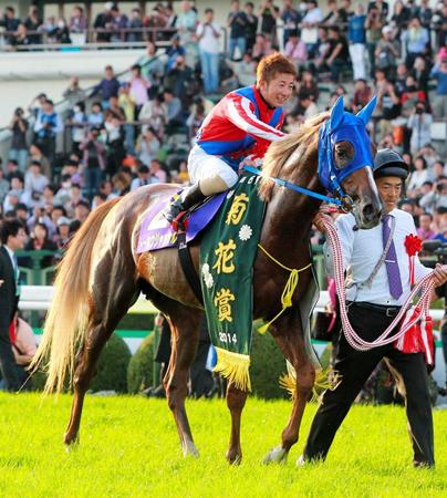 　菊花賞を制したトーホウジャッカルと酒井＝１４年１０月