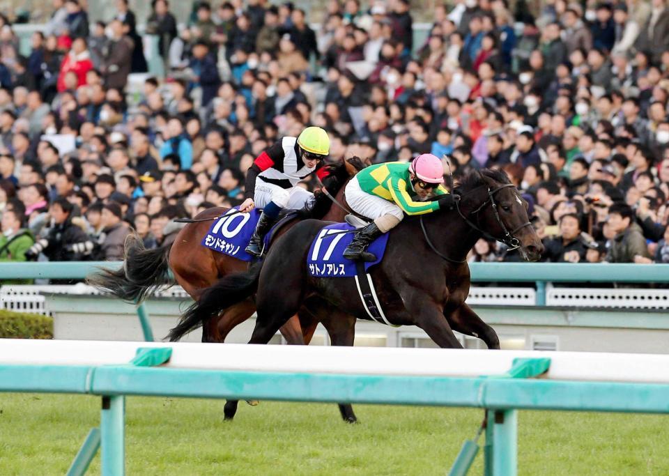 藤沢和師 史上初最優秀2歳牡牝2冠！今年こそ「日本ダービー勝ちたい」/競馬・レース/デイリースポーツ online