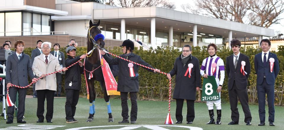 人気に応え京成杯を制したコマノインパルス＝中山競馬場