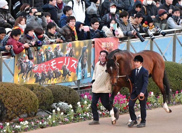 モーリス中山競馬場で引退式　花嫁候補にジェンティルやブエナ