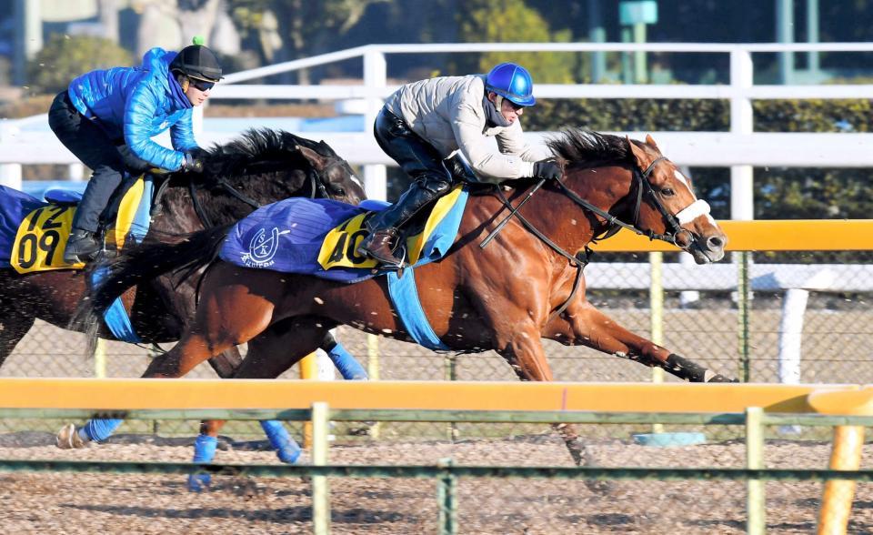 　末脚をグイッと伸ばして先着を決めたタンタアレグリア（右）