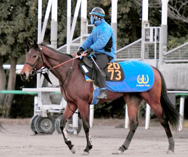 【ＰＯＧ】セイウンキラビヤカＶ発進だ！リーチザクラウン産駒の好素質馬