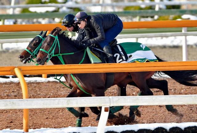 良血３歳馬ヴァナヘイム骨折　全治６カ月以上、春のクラシック参戦は絶望的に