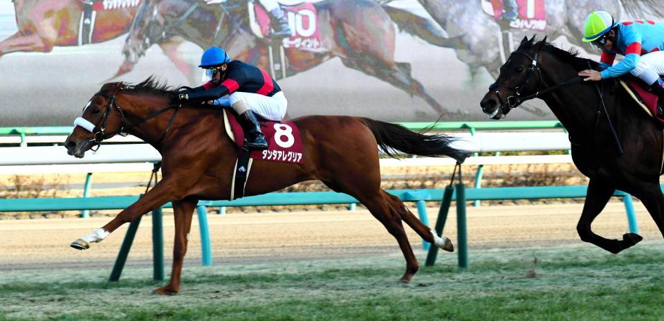 　力強く伸びてタイトルをつかんだタンタアレグリア（左）　