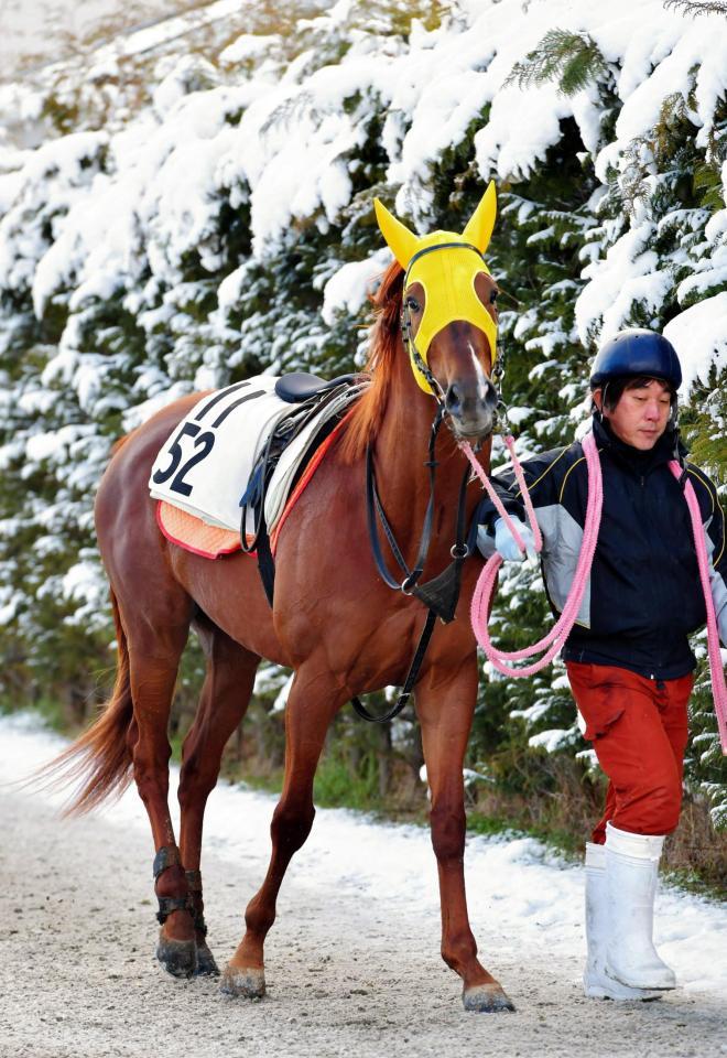 運動するセカンドテーブル＝栗東トレセン（撮影・石湯恒介）