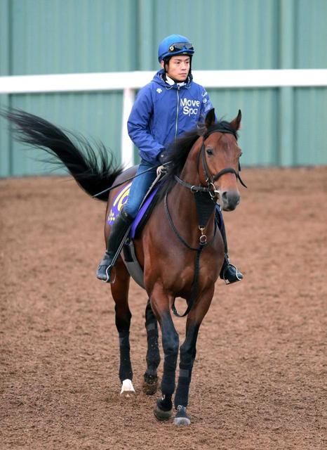 ミッキーアイル電撃引退 種牡馬入り　昨年の最優秀短距離馬