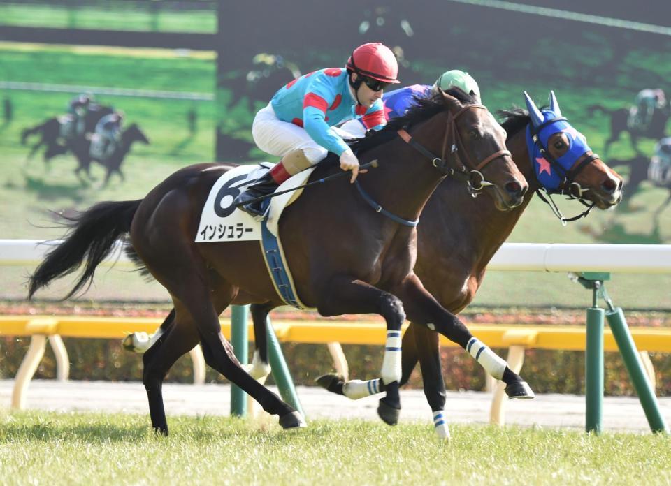 ５Ｒメイクデビュー、シングンマイケル（奥）にとのたたき合いを制し新馬勝ちのインシュラー＝東京競馬場