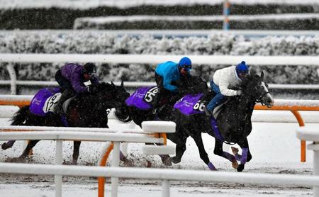 　栗東ＣＷで躍動したアドマイヤミヤビ（右）