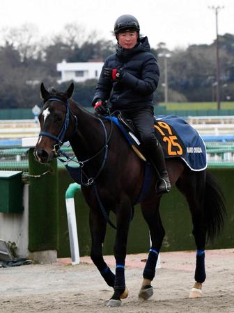 　厩舎の期待馬チャロネグロが重賞獲りに挑む