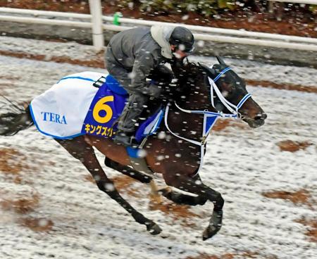 栗東坂路で追い切るキングズガード＝栗東トレセン（撮影・石湯恒介）