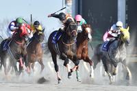 直線力強く抜け出すゴールドドリーム（中央）＝東京競馬場