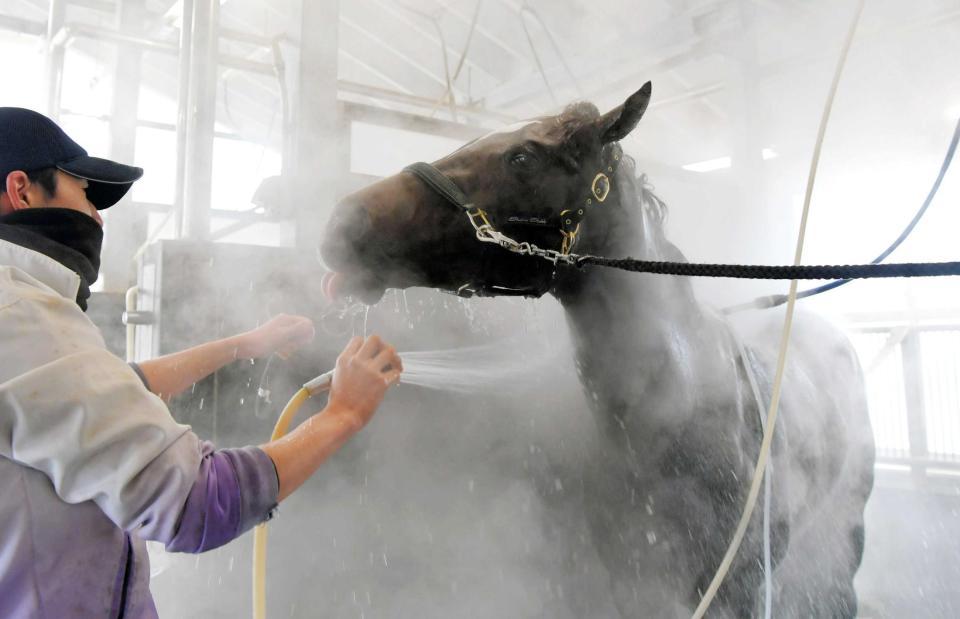 　巻き返しを狙うレッドアンシェル