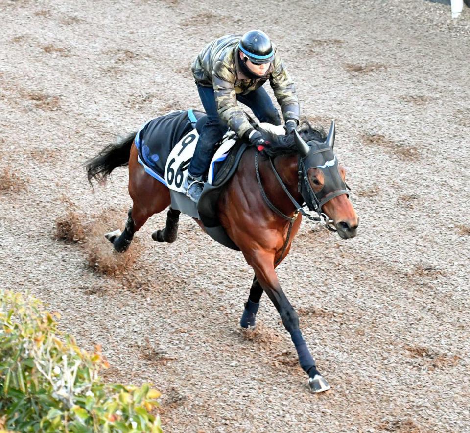 　重賞連勝に向けて好ムードを漂わせたシュウジ