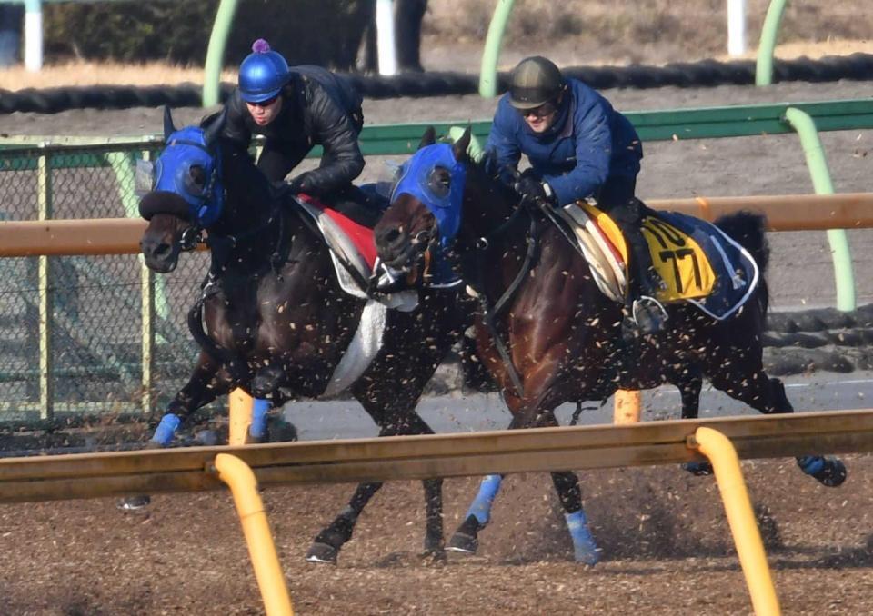 　余力十分に併入を決めたコマノインパルス
