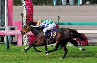 16年桜花賞馬ジュエラーが骨折により引退/競馬・レース/デイリー