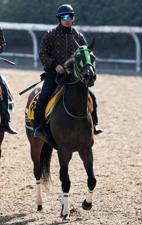 　始動戦から好仕上がりを見せるルージュバック