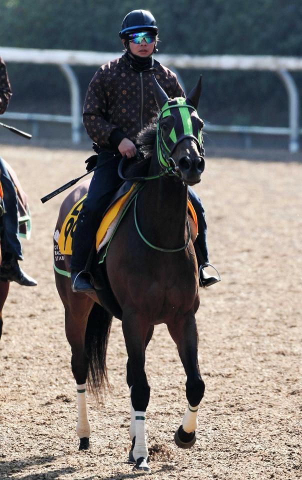 　始動戦から好仕上がりを見せるルージュバック