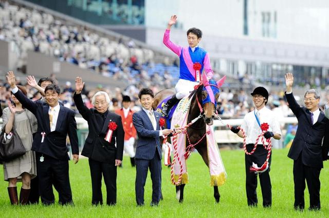 メイショウマンボが阪神牝馬ｓで引退へ ２年５カ月ぶりｖで有終なるか 競馬 レース デイリースポーツ Online