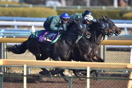 　今季始動戦へ、美浦Ｗで上々の動きを披露したサトノアレス（手前）