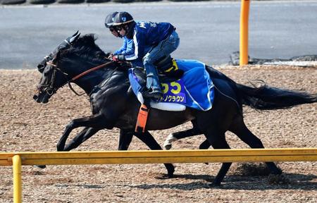 　素軽いフットワークで僚馬に先着したサトノクラウン（手前）　