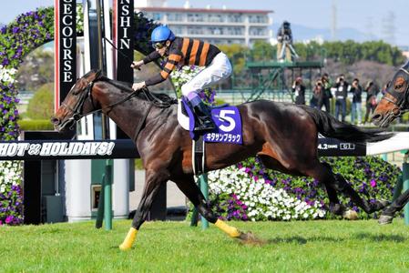 大阪杯を制したキタサンブラック＝阪神競馬場（撮影・石湯恒介）