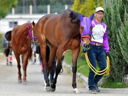 　阪神牝馬Ｓでラストランを迎えるメイショウマンボ