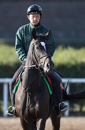 　調教を終え、引きあげるソウルスターリング