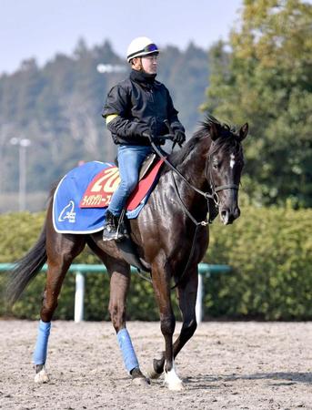 　丸田を背に一発を狙うライジングリーズン