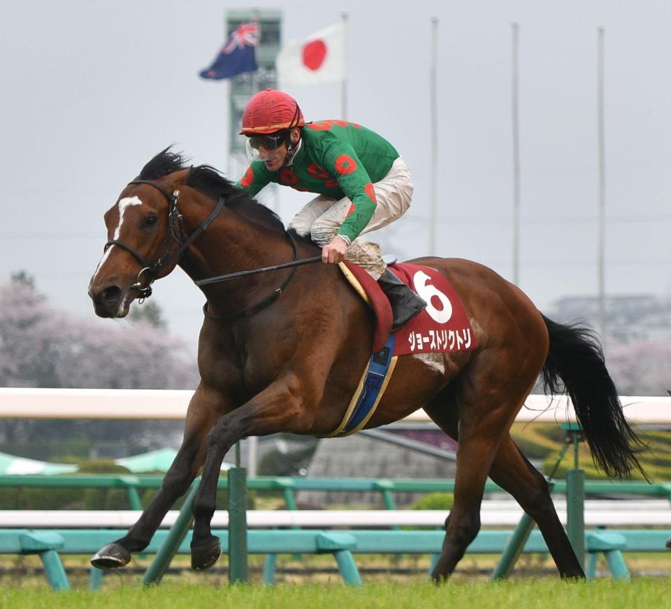 直線抜け出しニュージーランドＴを制したジョーストリクトリ＝中山競馬場