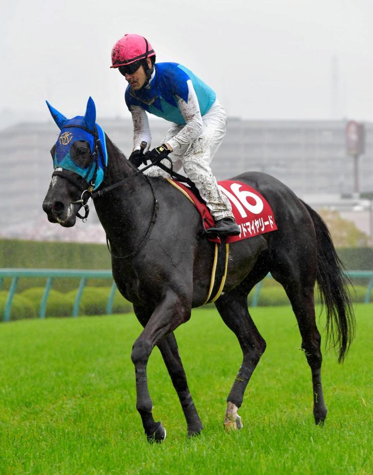 　２着に敗れたアドマイヤリード