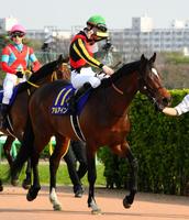 アルアインで皐月賞を制し初Ｇ１勝利に男泣きする松山弘平騎手＝中山競馬場