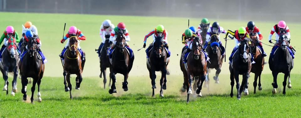 　皐月賞を制したアルアイン（右から５頭目緑帽子）２着はペルシアンナイト（左から２頭目青帽子）３着はダンビュライト（右から３頭目）