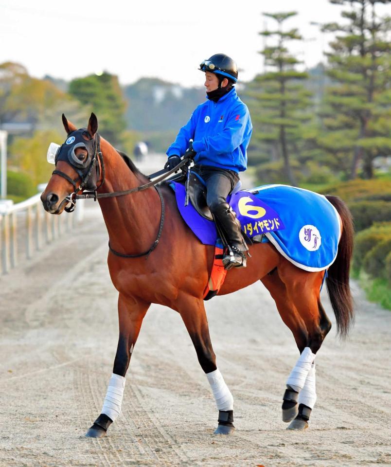 　昨年の有馬記念覇者サトノダイヤモンドが連勝を伸ばすか