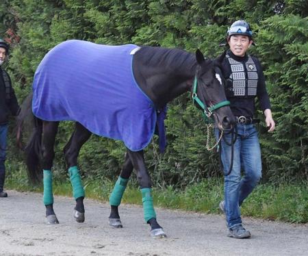 　大西は上昇度抜群のシャケトラに期待