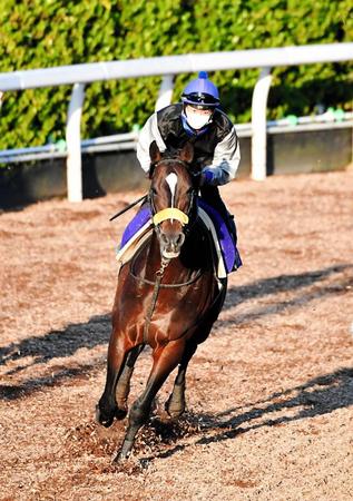 　連覇を狙うキタサンブラック