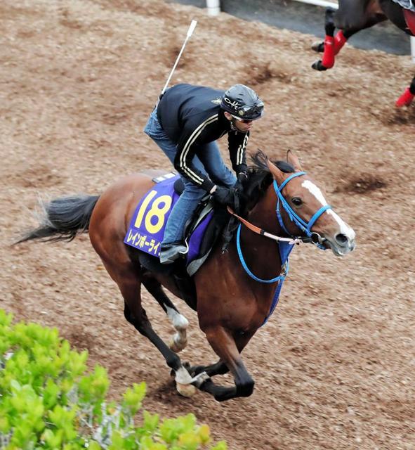 【天皇賞】レインボーライン 叩き２走目のオールラウンダーが淀に虹架ける