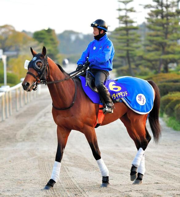 日曜京都の危険な人気馬…11Ｒ出走の有力馬　長距離戦にスキあり