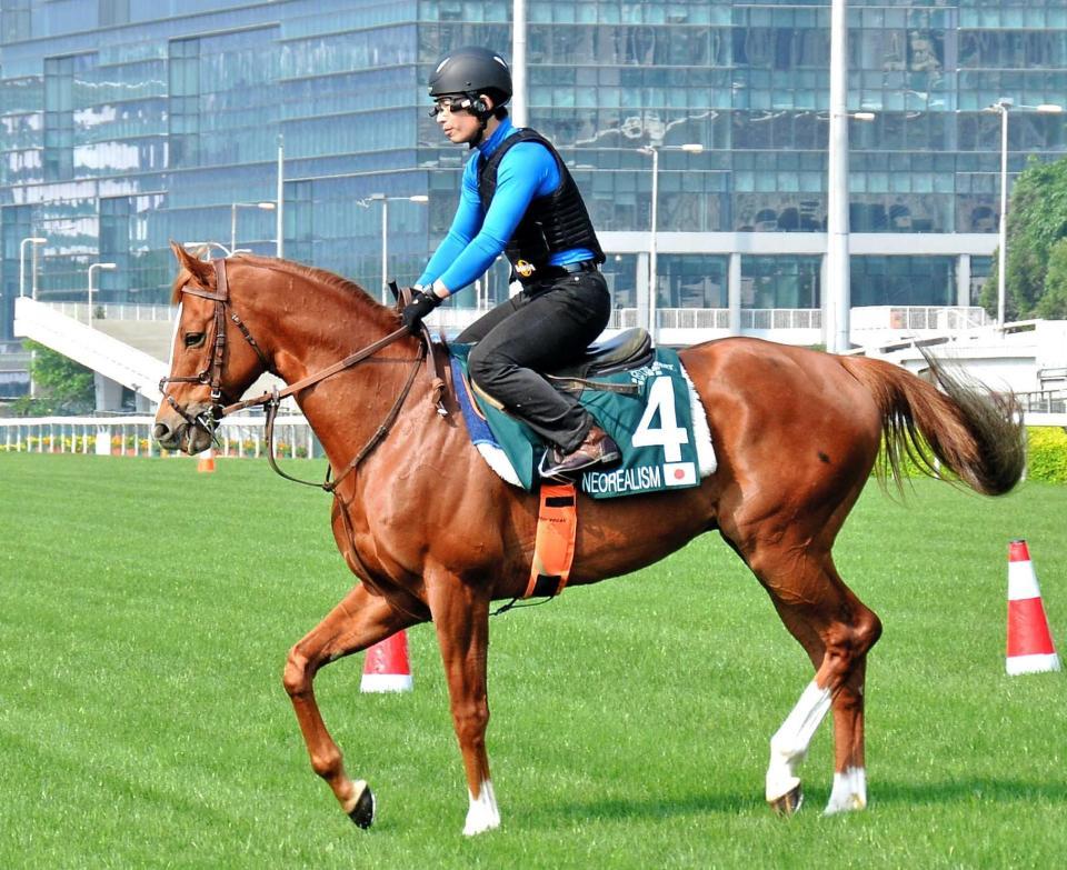 　落ち着きが出てきたネオリアリズムに期待